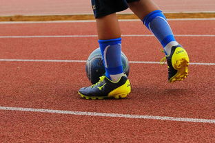 九游娱乐平台-中国青少年篮球运动员体能素质发展规律，我国篮球青少年运动发展现状