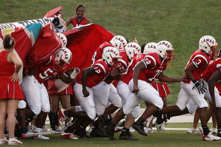 九游.中国官网-全国青少年皮划艇竞速赛在杭州顺利举行，青少年皮划艇夏令营活动